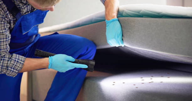 Best Flea Control Services  in Dillon, MT